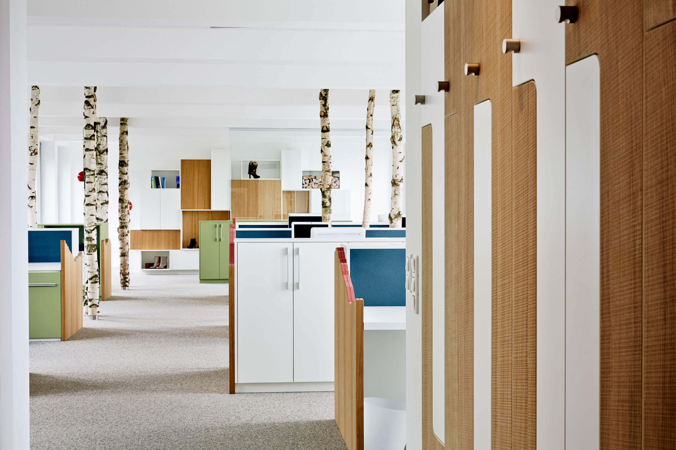 Interior Design der Büroräume von Hansmann PR. Echte Birkenstämme als Blickfang.